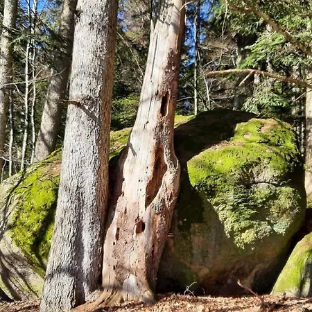 Blockhaus Am Baumwipfelpfad * Neuschoenau