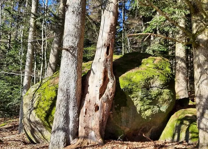 Blockhaus Am Baumwipfelpfad * Neuschönau