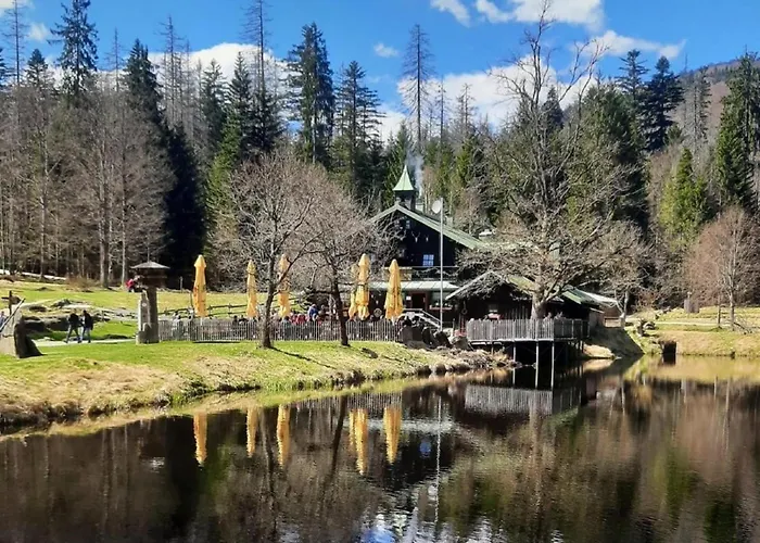 Daire Blockhaus Am Baumwipfelpfad